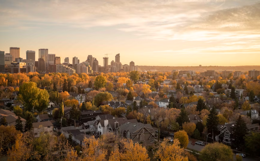 a view of city with trees in the foreground