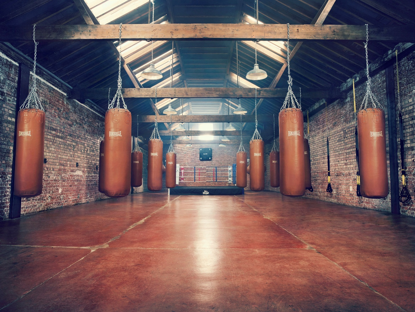punching bags in a gym