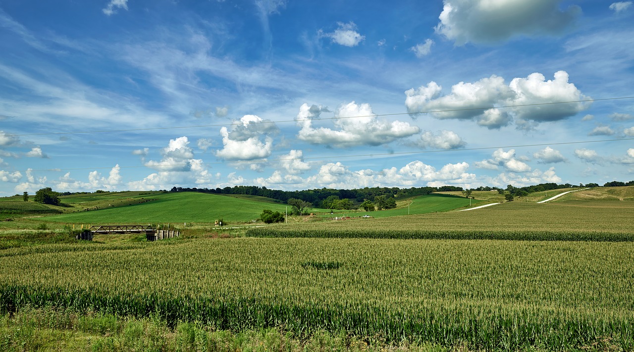 iowa