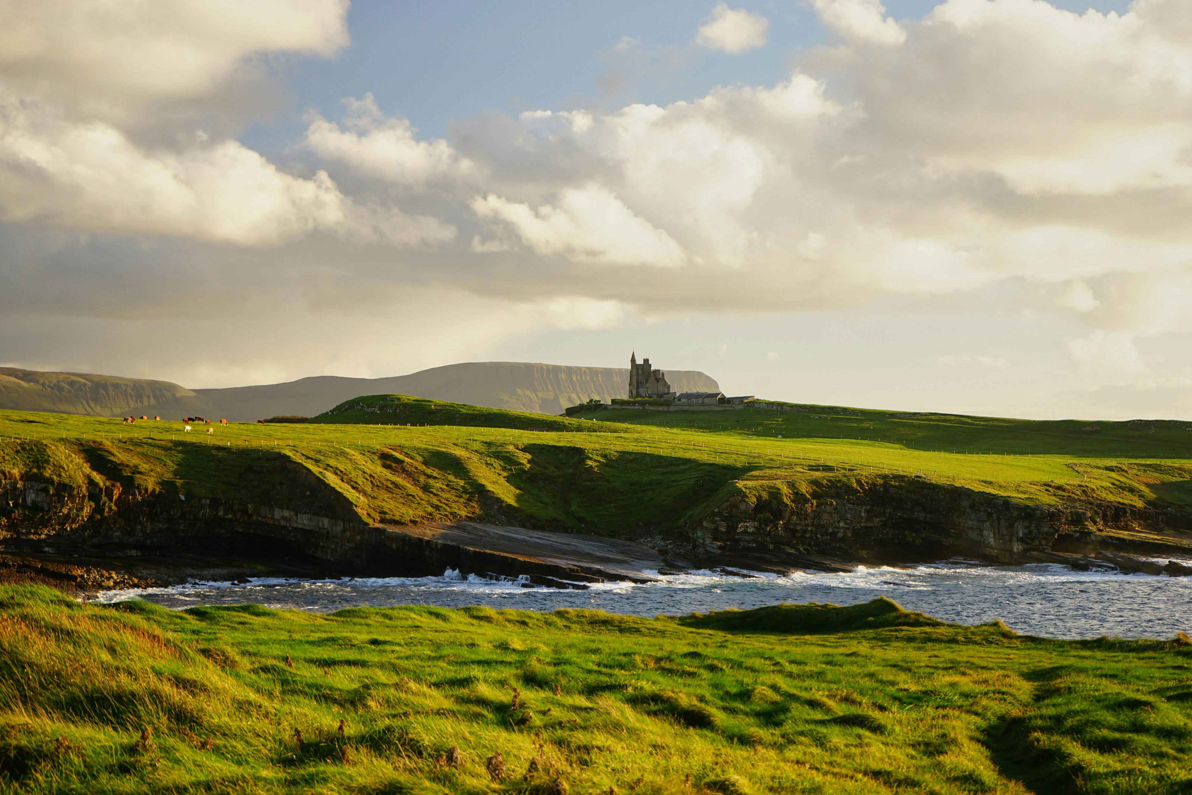 green grass field in Ireland under cloudy sky in daytime
