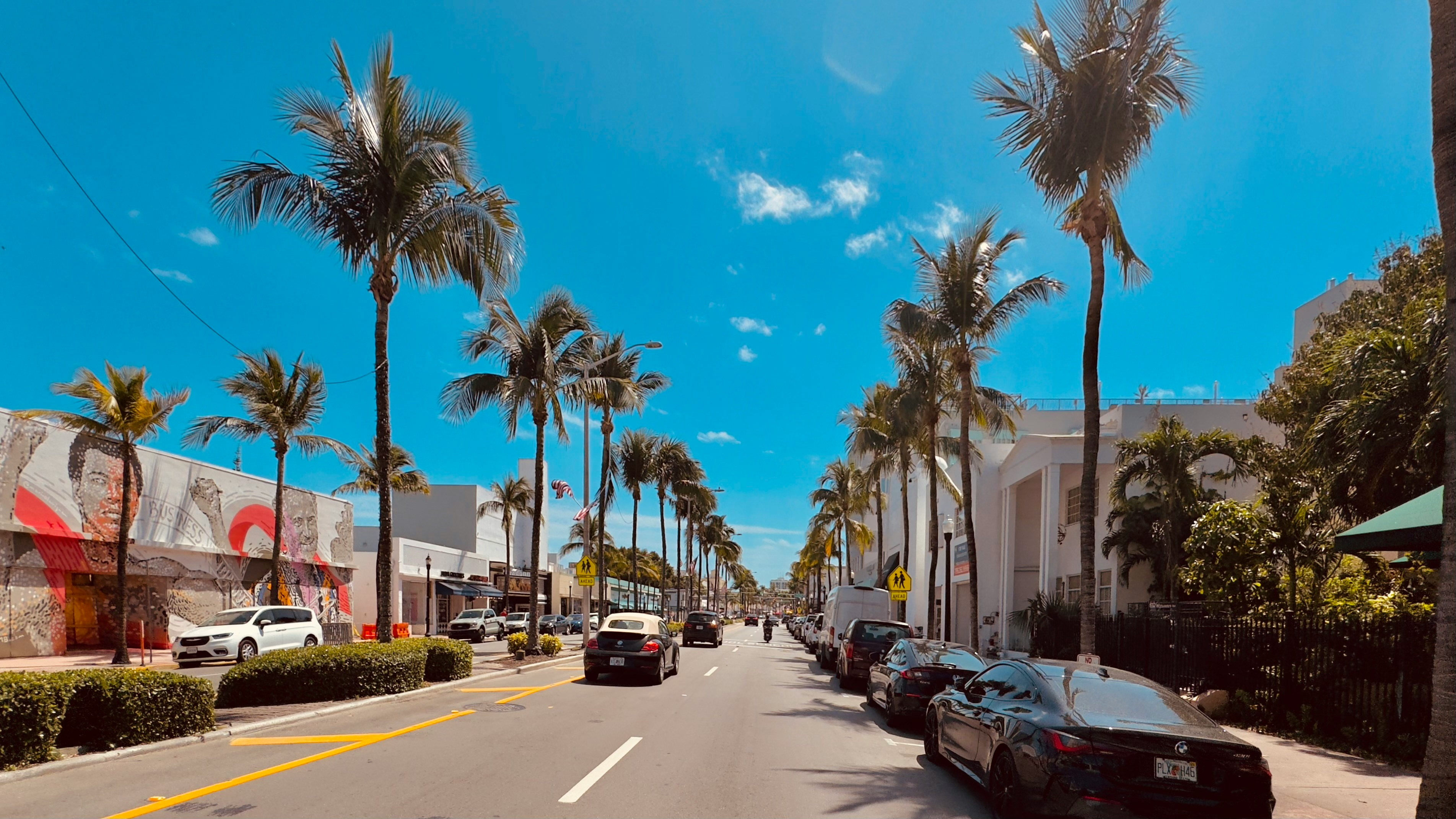 a street in Florida lined with palm trees and parked cars