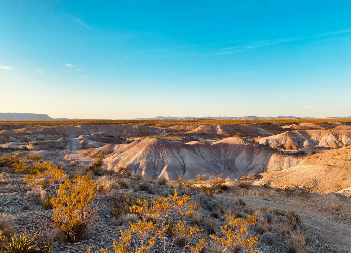 view of a desert landscape from a distance