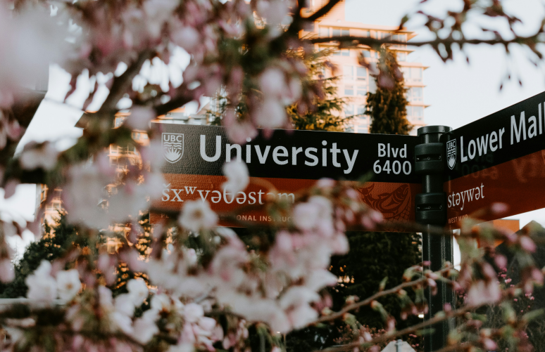 black and red street signage on campus near petaled flowers