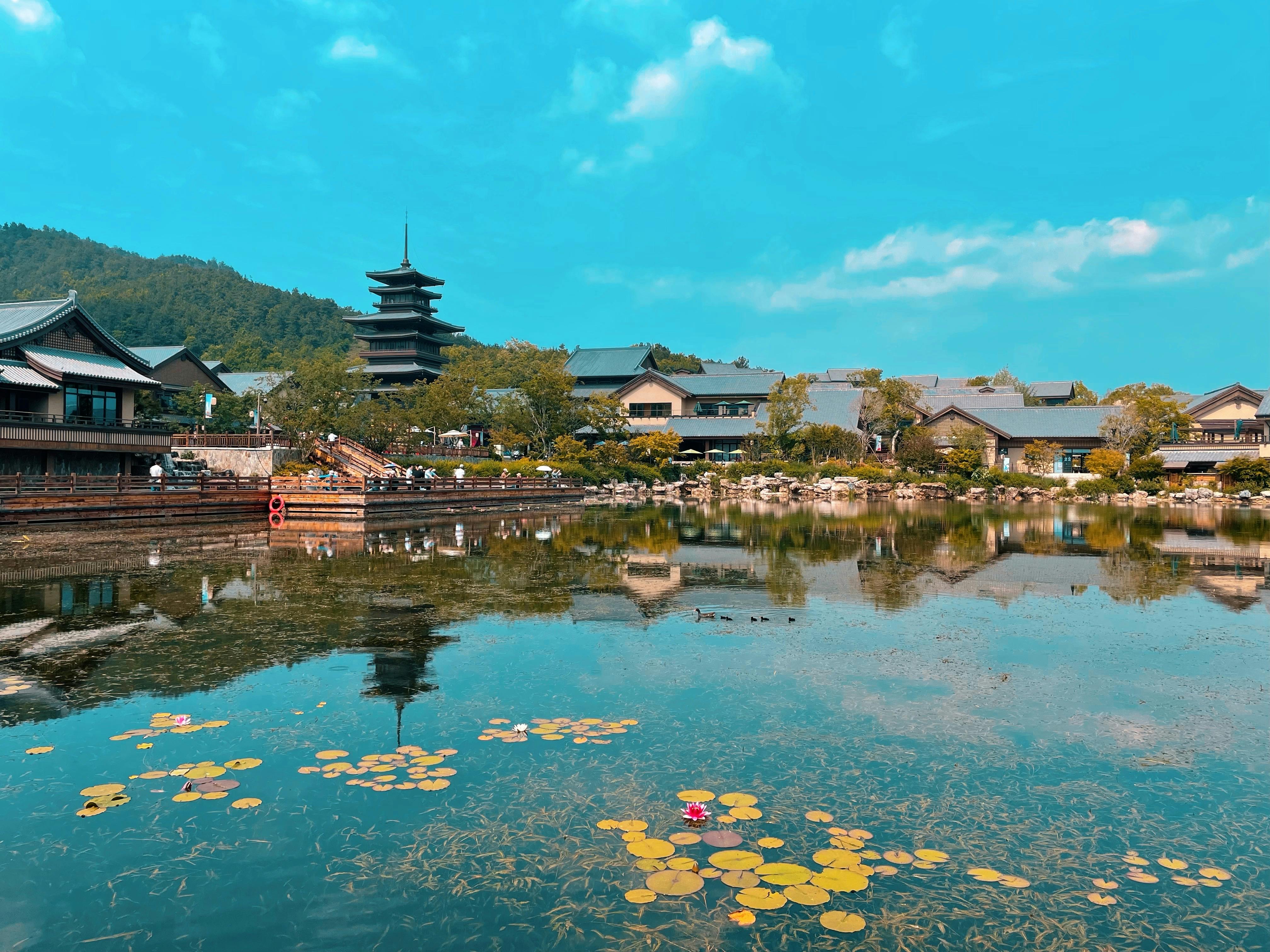 japan