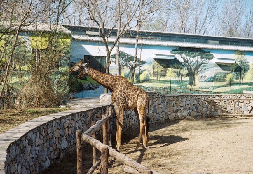 Happy Hollow Park & Zoo