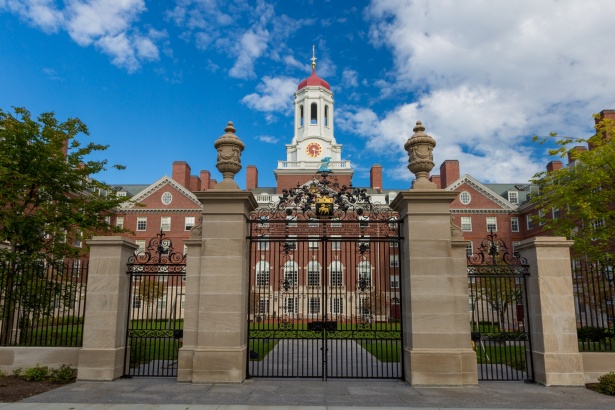 Oxford vs Harvard university