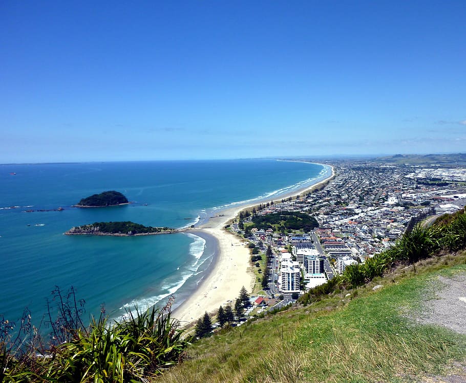 tauranga-bay-new-zealand
