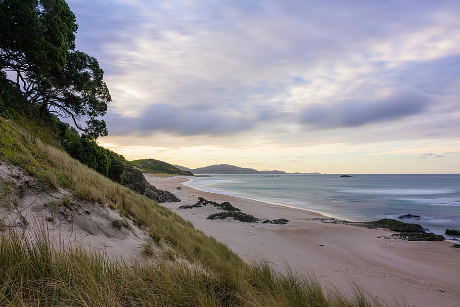 whangārei-heads-sandy-beach