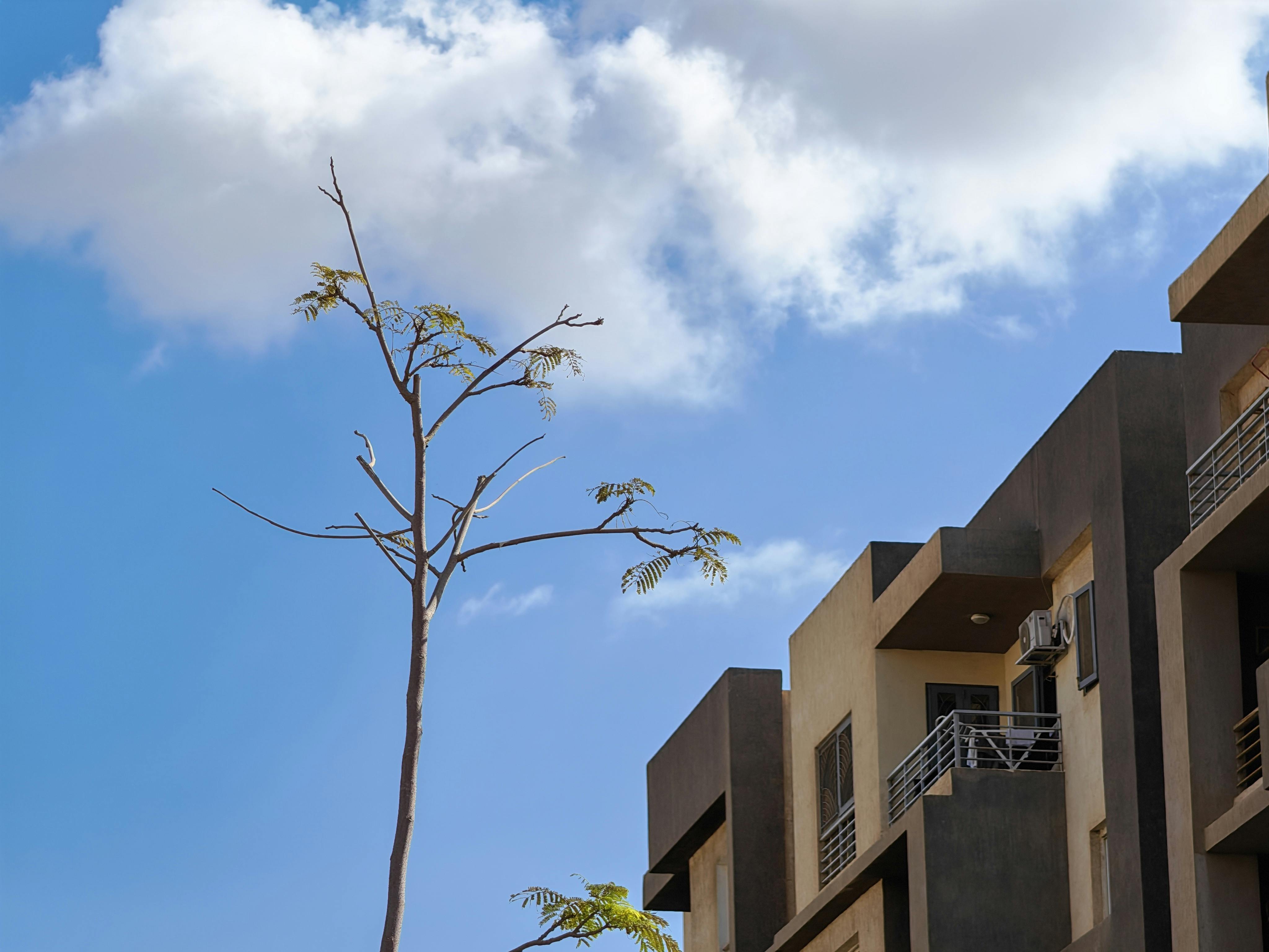 student accommodation