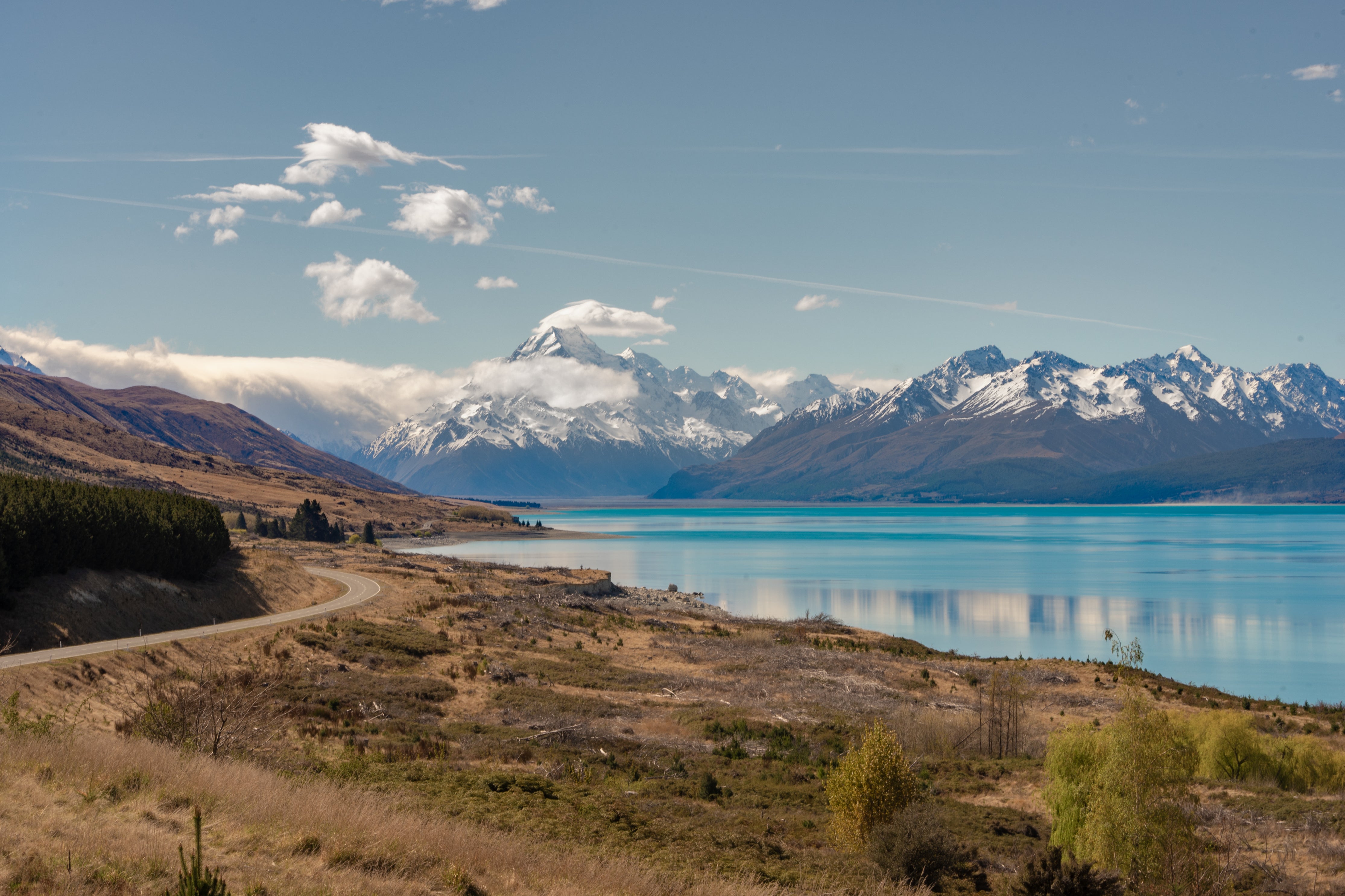 new zealand landscape