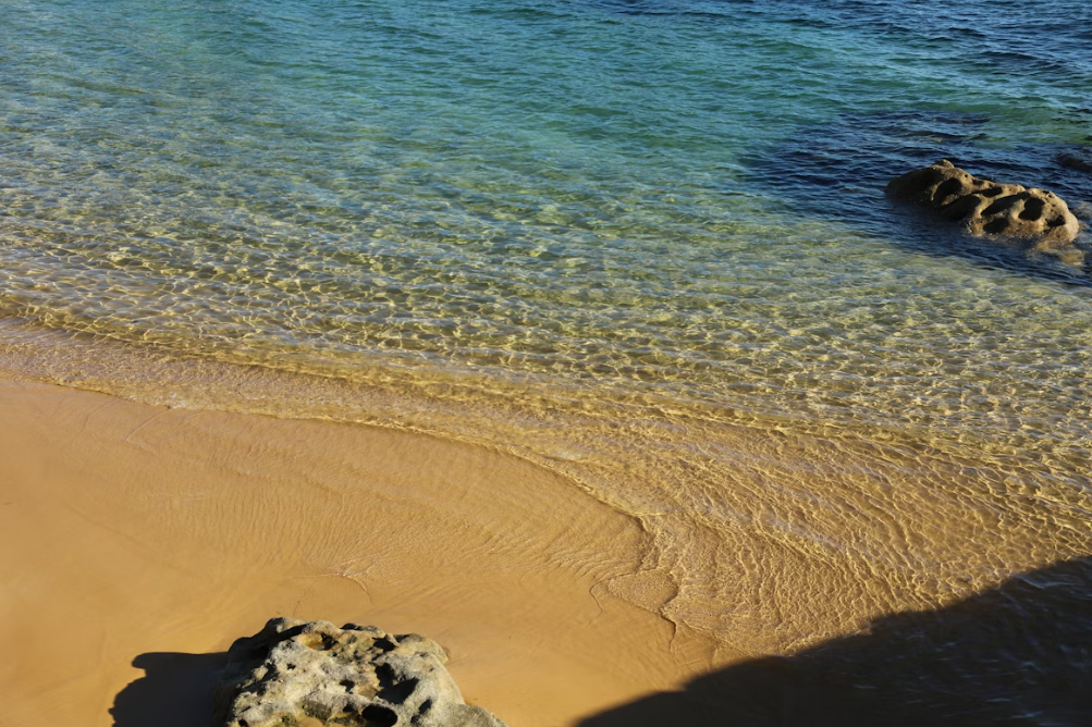 best beaches in sydney