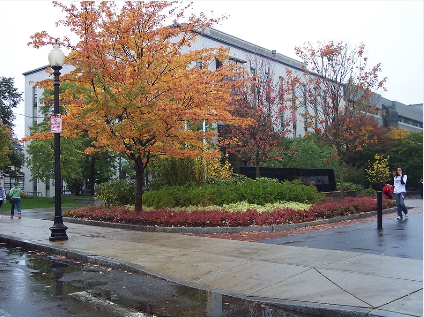 northeastern university