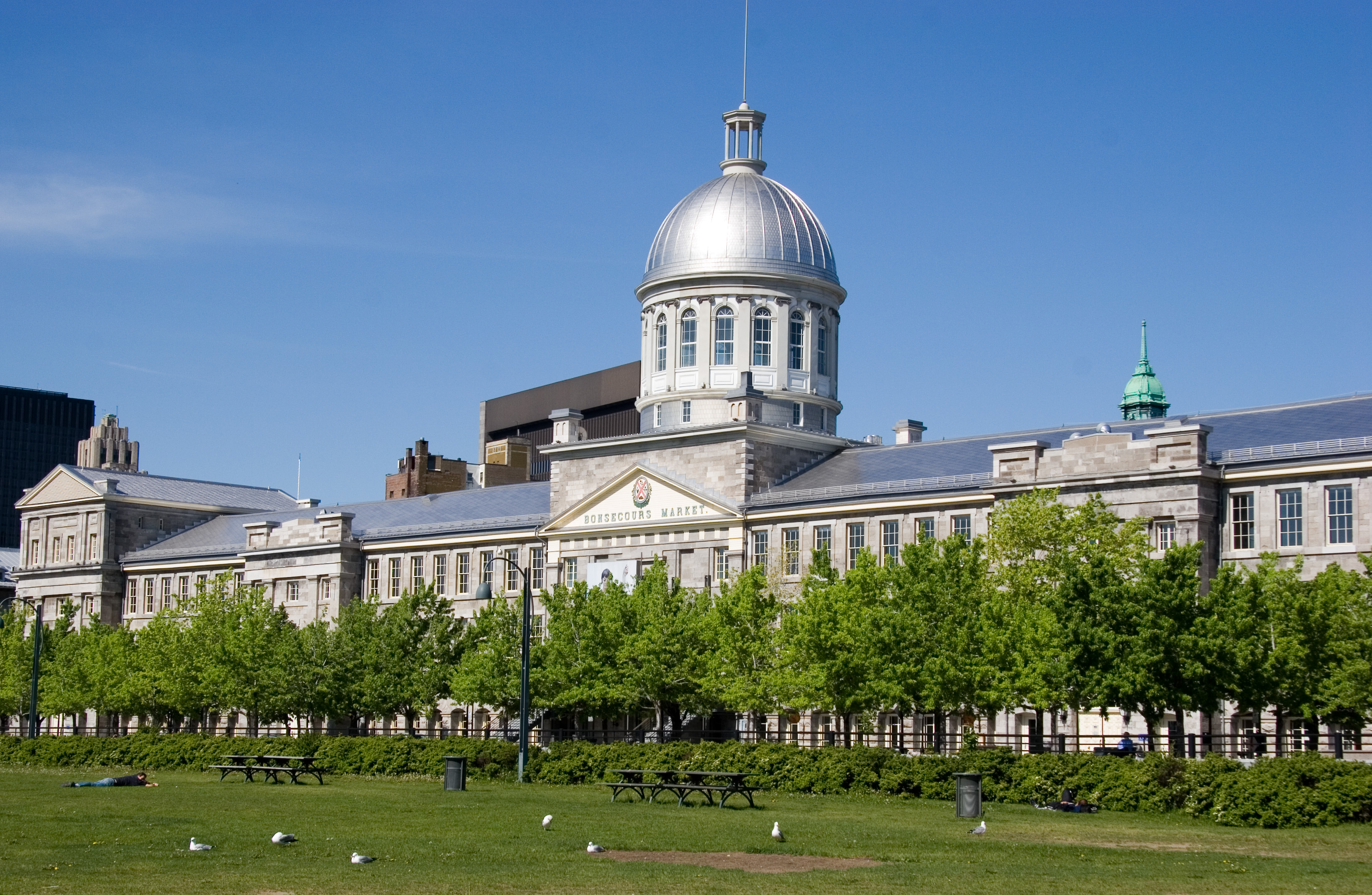 things to do in montreal​