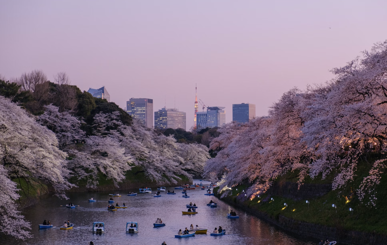Osaka vs Tokyo