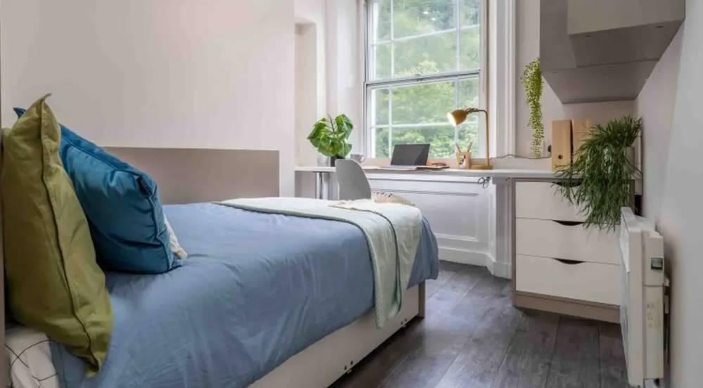 iq ty willis house uhomes