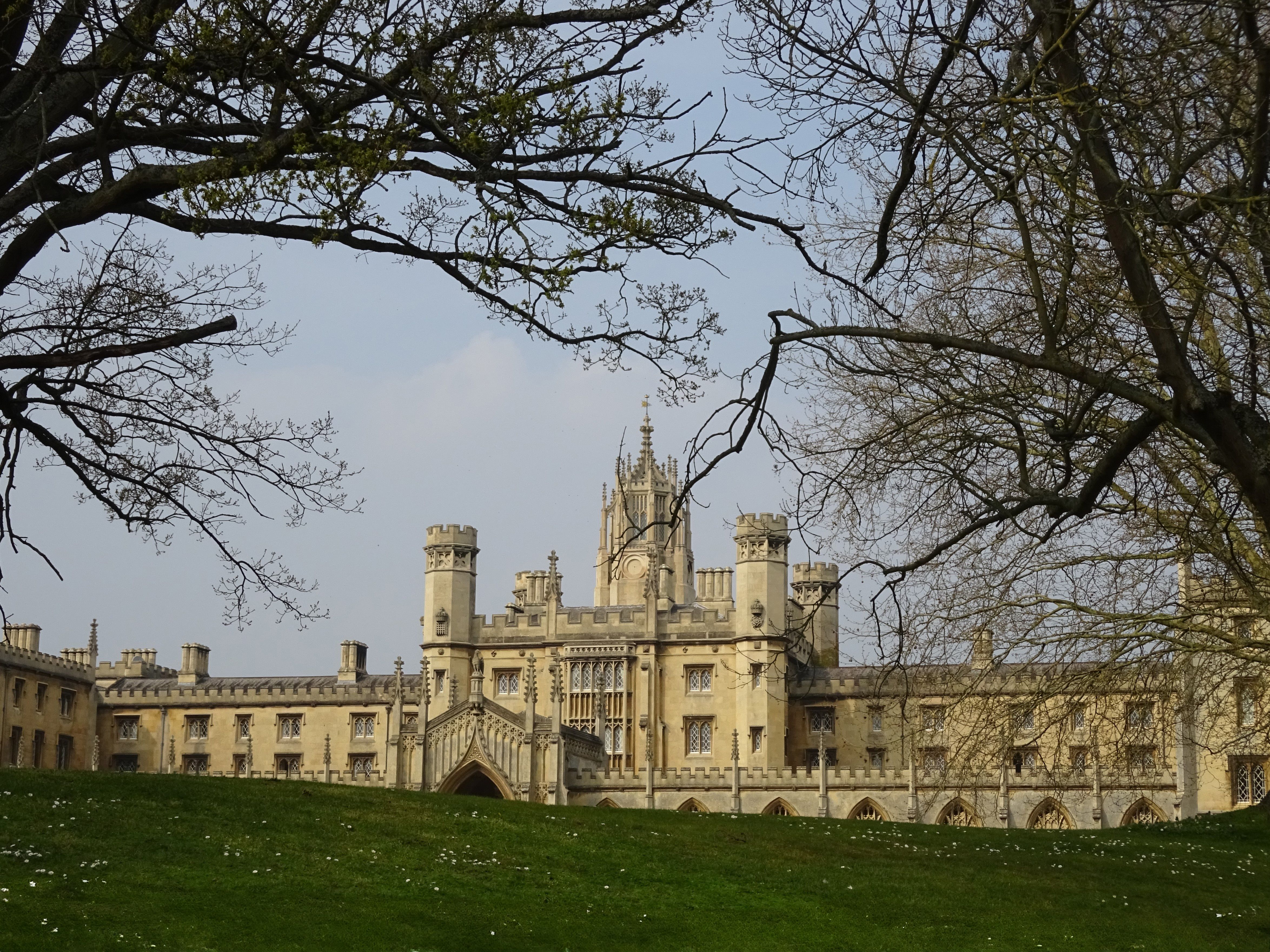 university