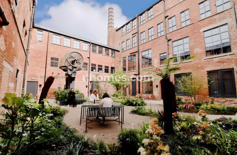 eyewitness sheffield