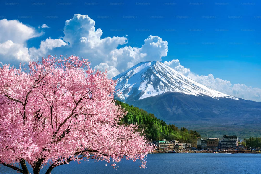 best areas to stay in tokyo