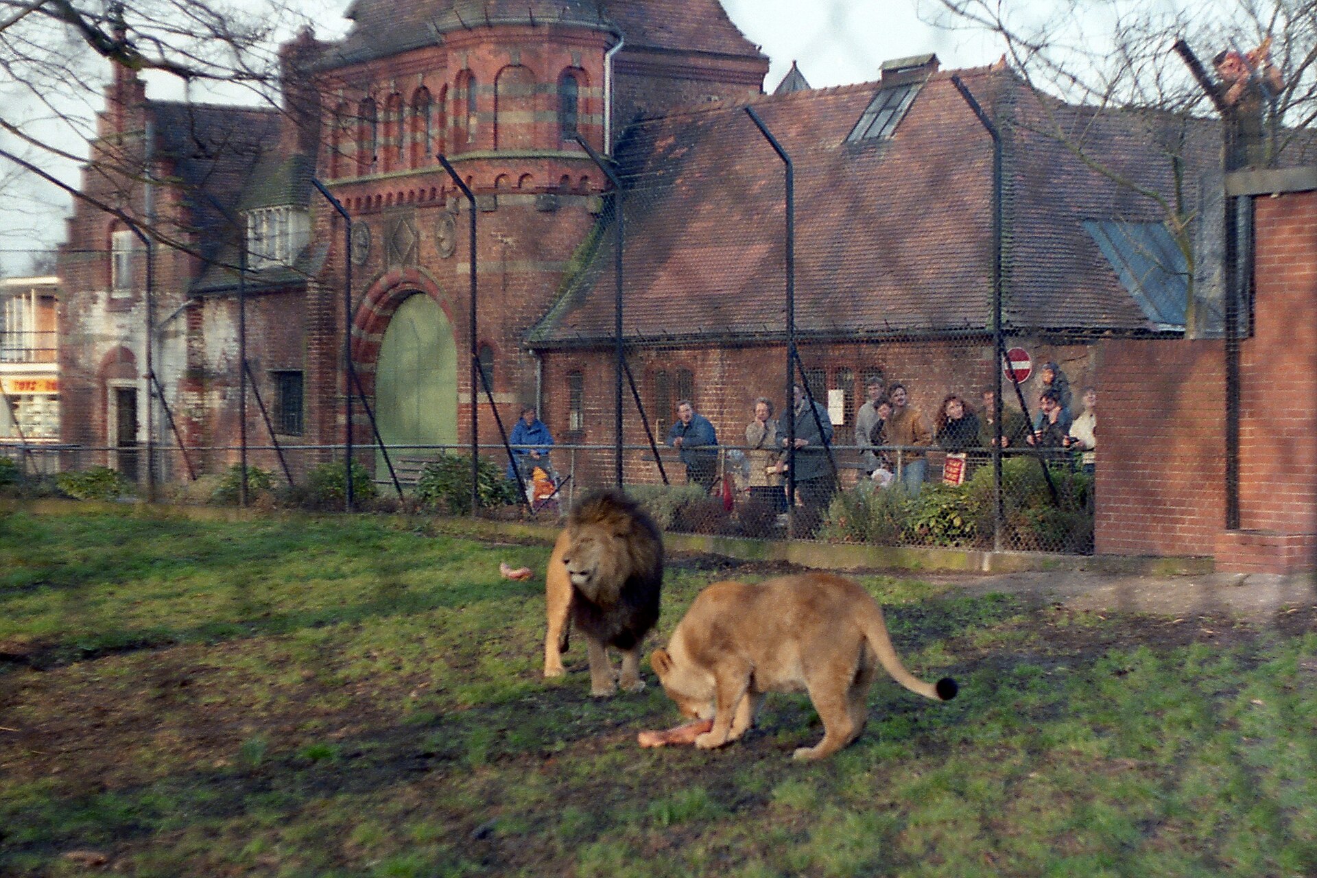 Chester Zoo, Chester, Cheshire, England